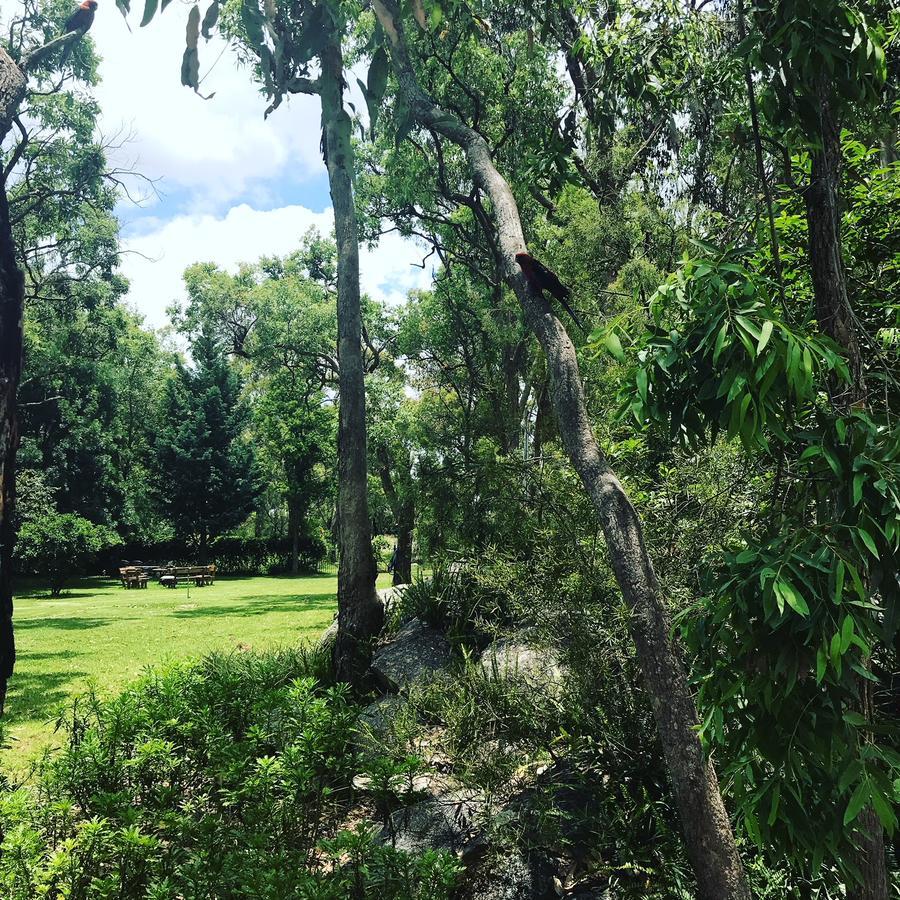 Honeysuckle Cottages Stanthorpe Esterno foto